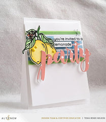Altenew Stamp & Die & Stencil Bundle Zesty Life