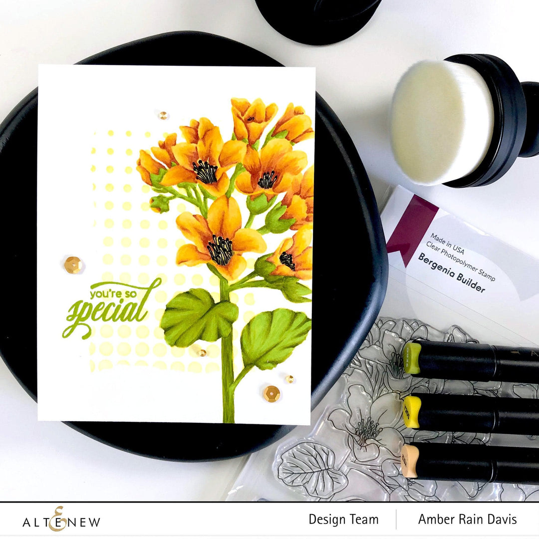 Photocentric Stencil Bergenia Builder Mask Stencil