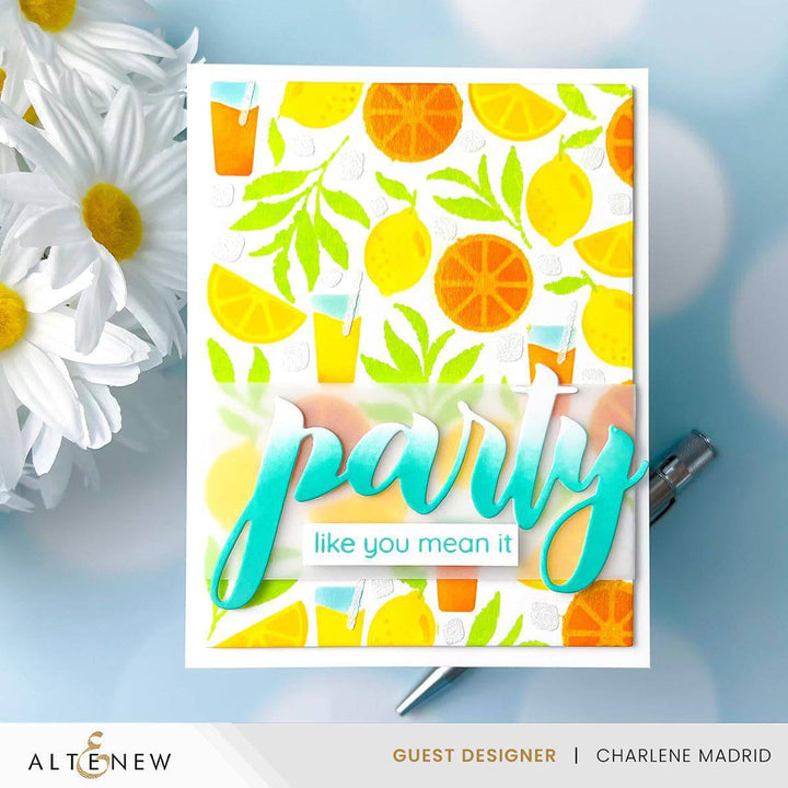 EXP Factors Stencil Citrus Fruits Pattern Layering Stencil Set (4 in 1)