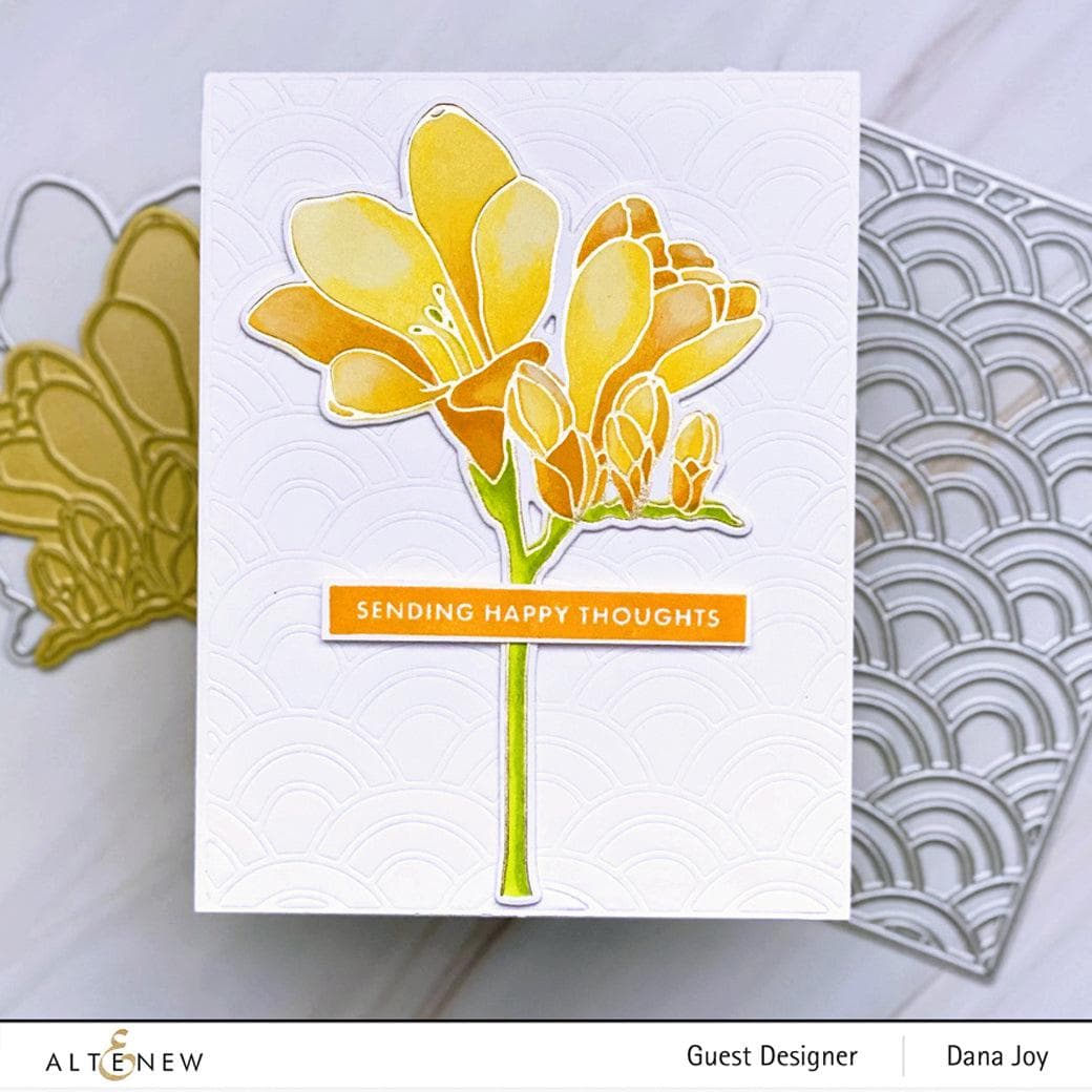EXP Factors Stencil Freesia Simple Coloring Stencil Set (2 in 1)