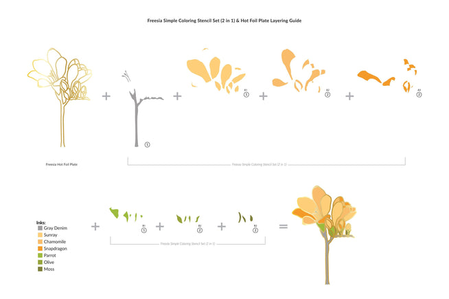 EXP Factors Stencil Freesia Simple Coloring Stencil Set (2 in 1)
