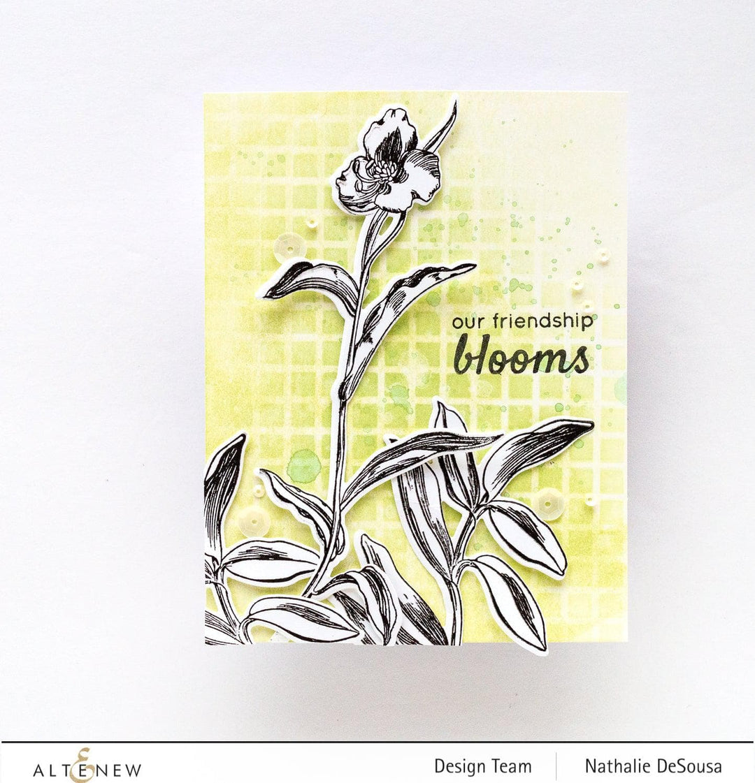 Photocentric Stencil Our Friendship Blooms Simple Coloring Stencil