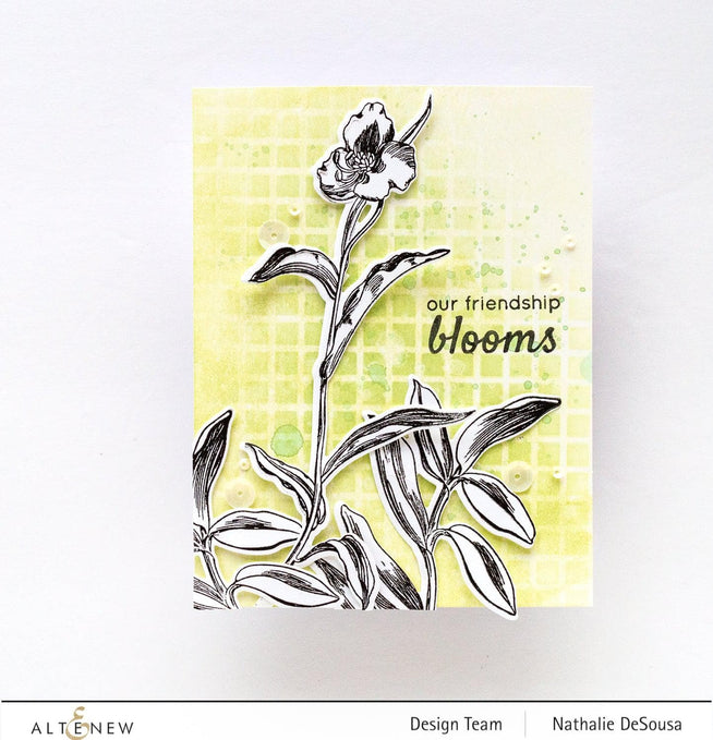 Photocentric Stencil Our Friendship Blooms Simple Coloring Stencil