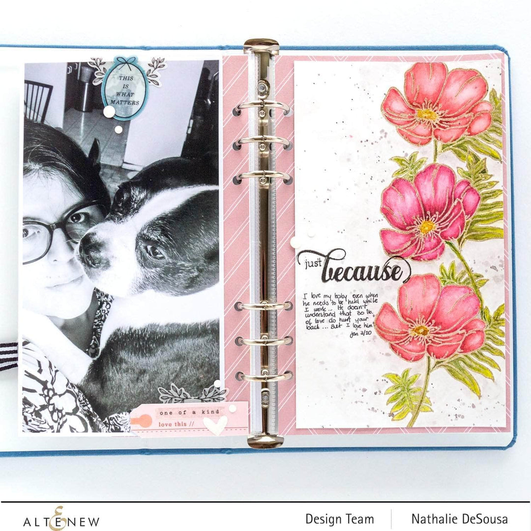 Altenew Watercolor Bundle Bright Days Artists' Watercolor Bundle