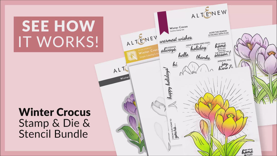 Winter Crocus